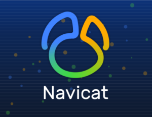 Navicat Premium database management software interface." The alt text should accurately convey the content of the image for users who may not be able to view it.